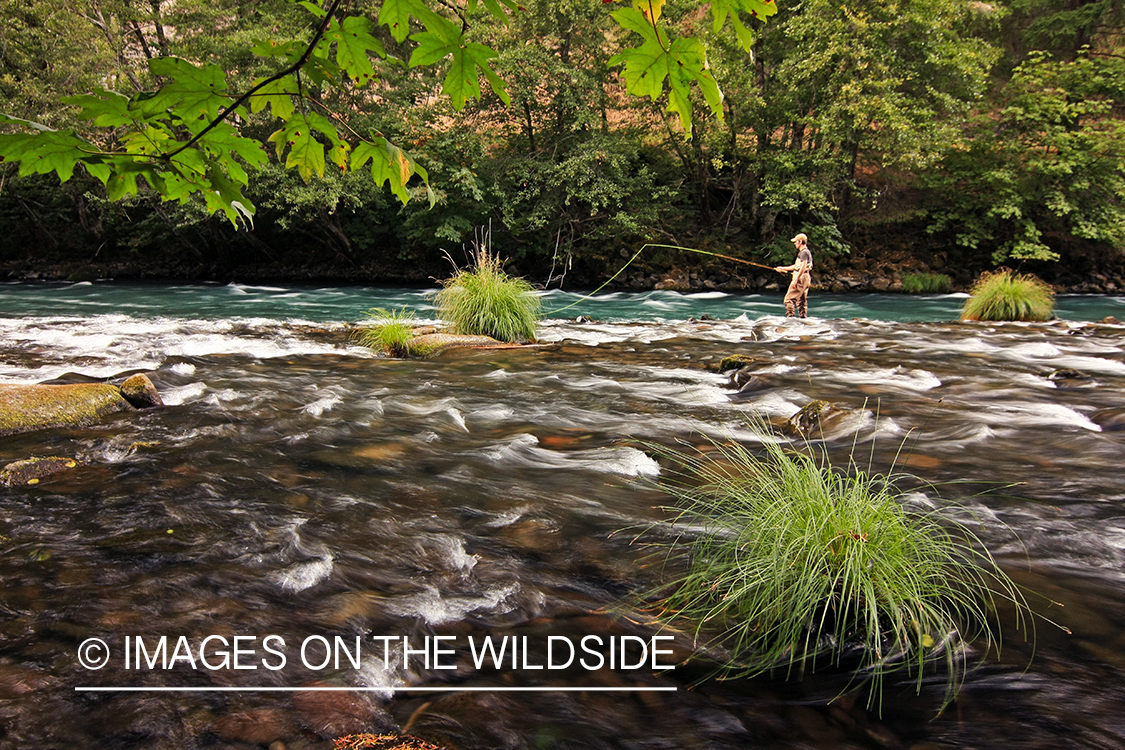 Flyfisherman on river.