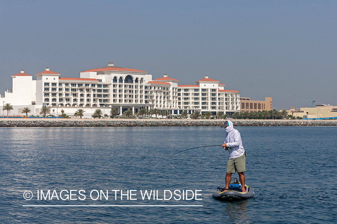 Flyfishing for queenfish off the coast of Dubai, UAE.