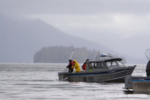 Fishermen deepsea fishing.  (Alaska/Canada)