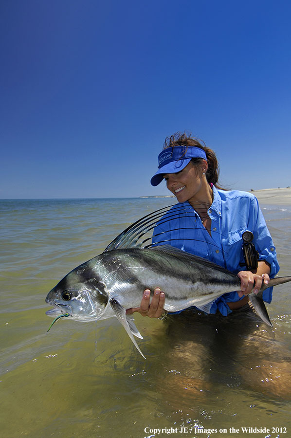 Woman releasing rooster fish.