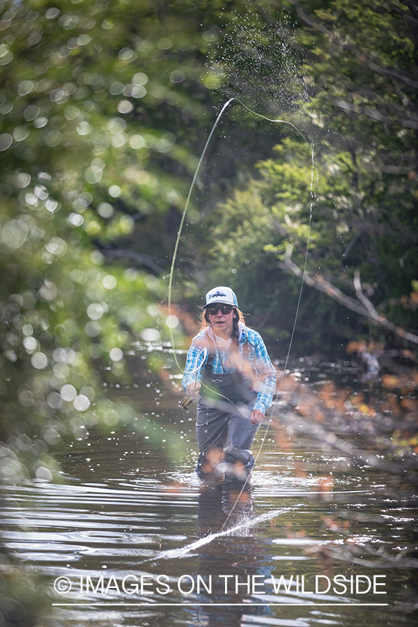 Woman fly fishing guide(Marcela Appelhanz) on stream.