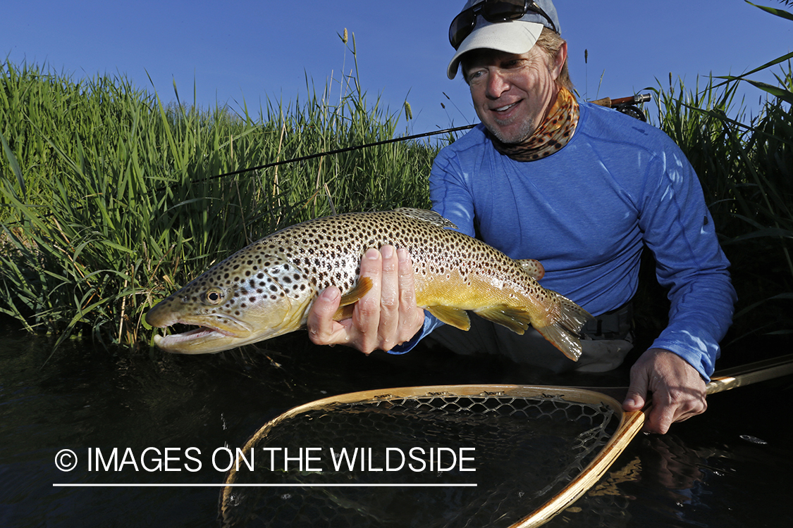 Flyfisherman with brown trout.