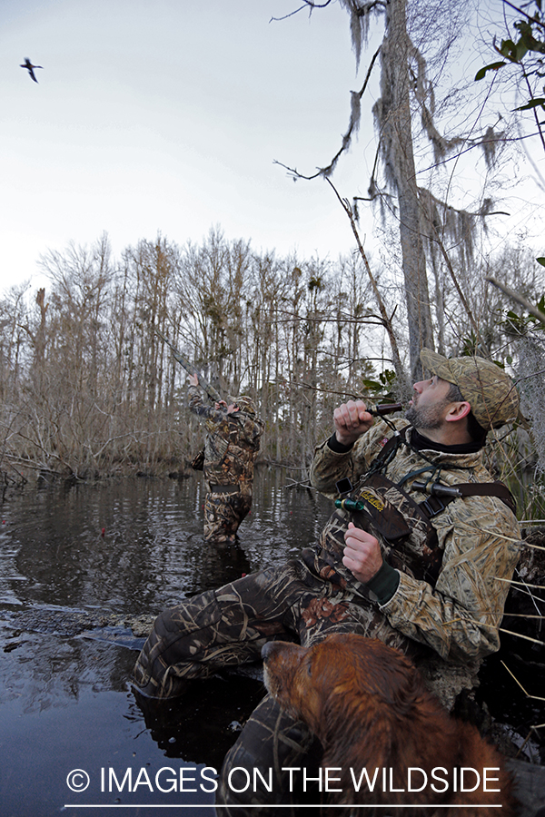 Waterfowl hunters taking aim in southern wetlands.