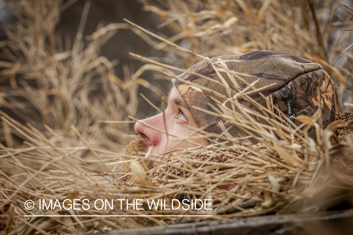 Waterfowl hunter camouflaged in wetlands.