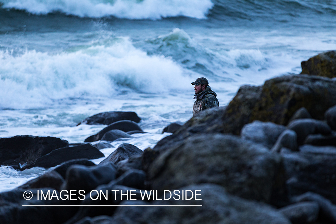 King Eider and Long-tailed duck hunting in Alaska, hunter looking for ducks.