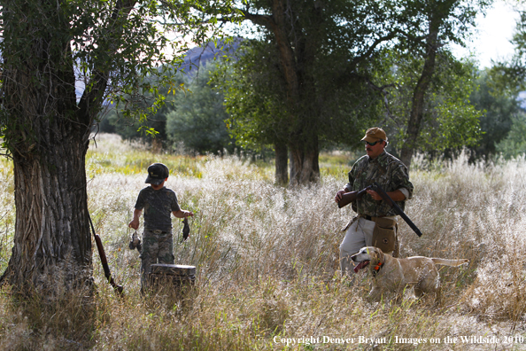 Dove Hunting