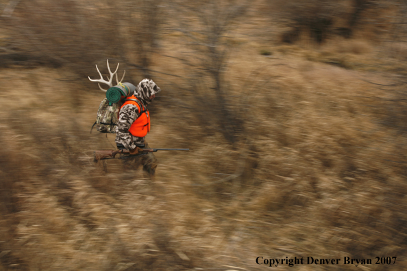 Mule deer hunter in field.