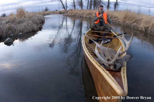 Big game hunter paddling canoe with bagged white-tail deer in bow