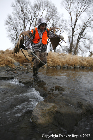 Moose hunter in field