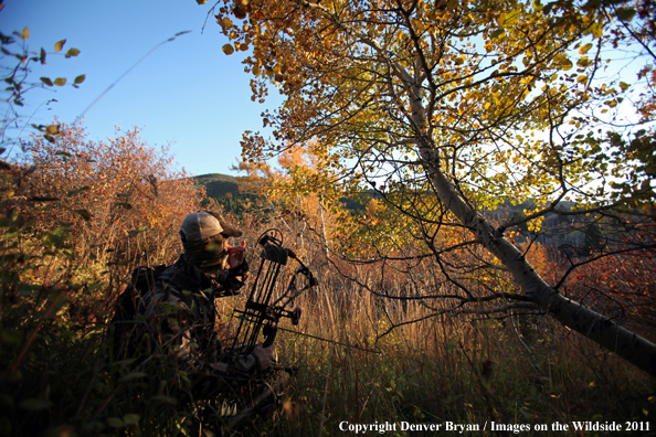 Bow hunter calling elk.  