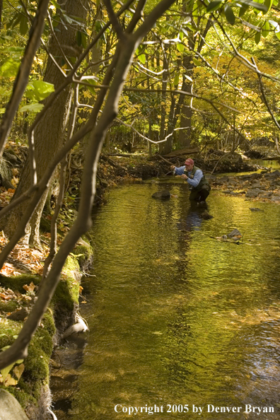 Flyfisherman on Pennsylvania spring creek.