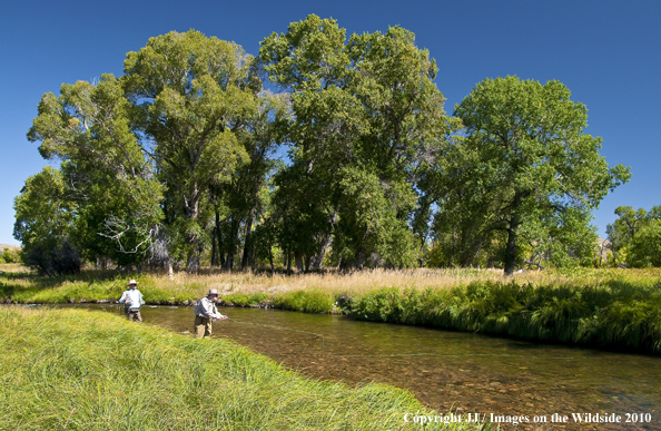 Piney Creek, Wyoming. 