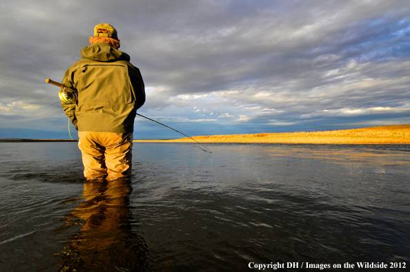 Flyfisherman in Tierra del Fuego. 