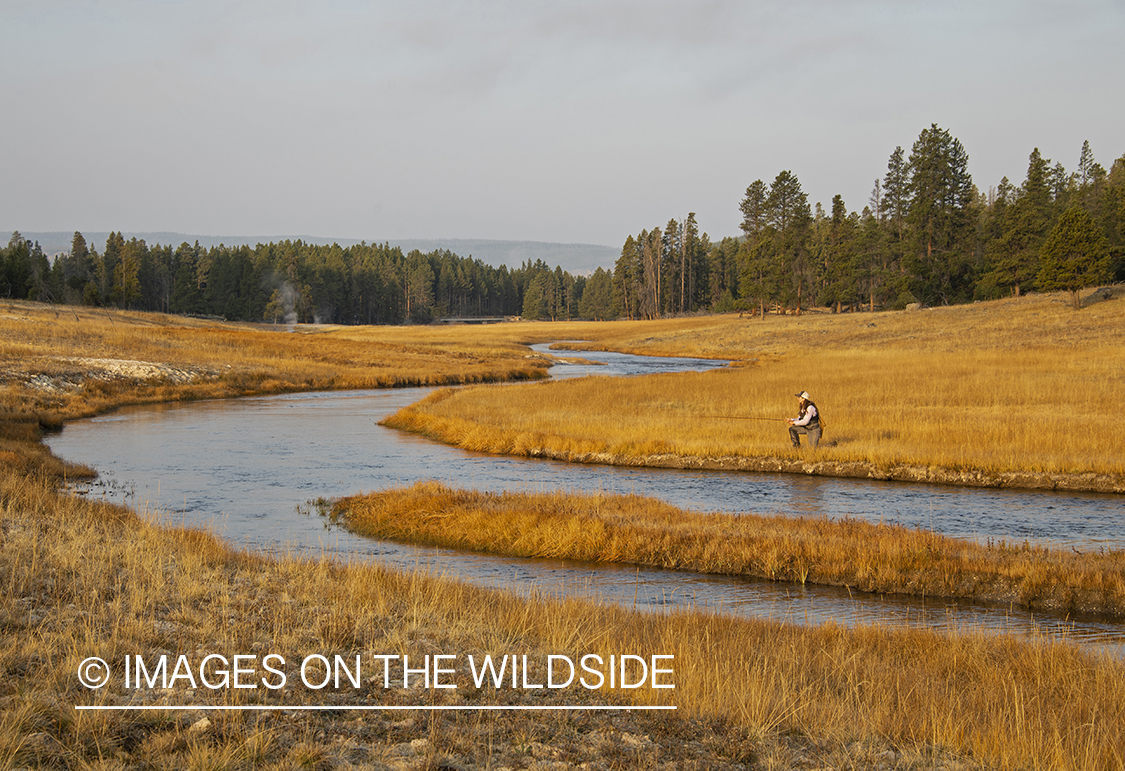 Flyfishing, Nez Perce Creek, Yellowstone National Park.