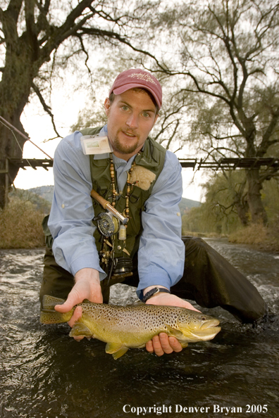 Close-up of nice brown trout.