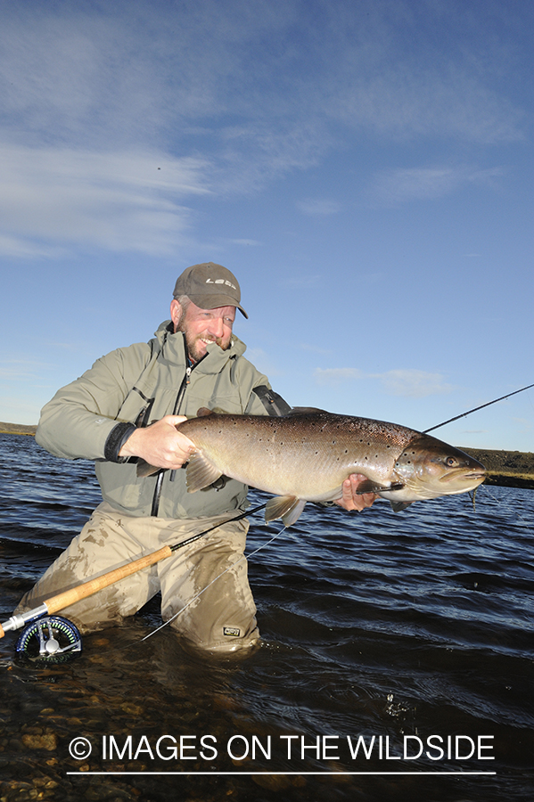 Flyfisherman with sea-run brown trout.