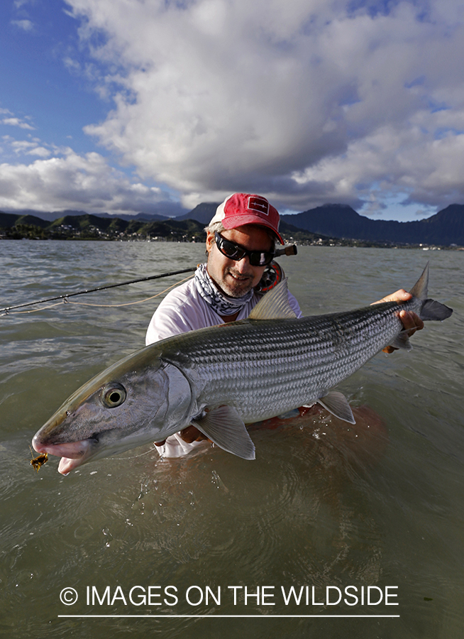 Saltwater flyfisherman with 13 lb bonefish, in Hawaii.