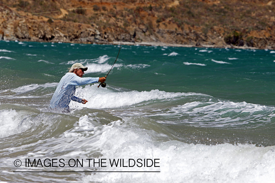 Flyfisherman fishing for roosterfish on beach.