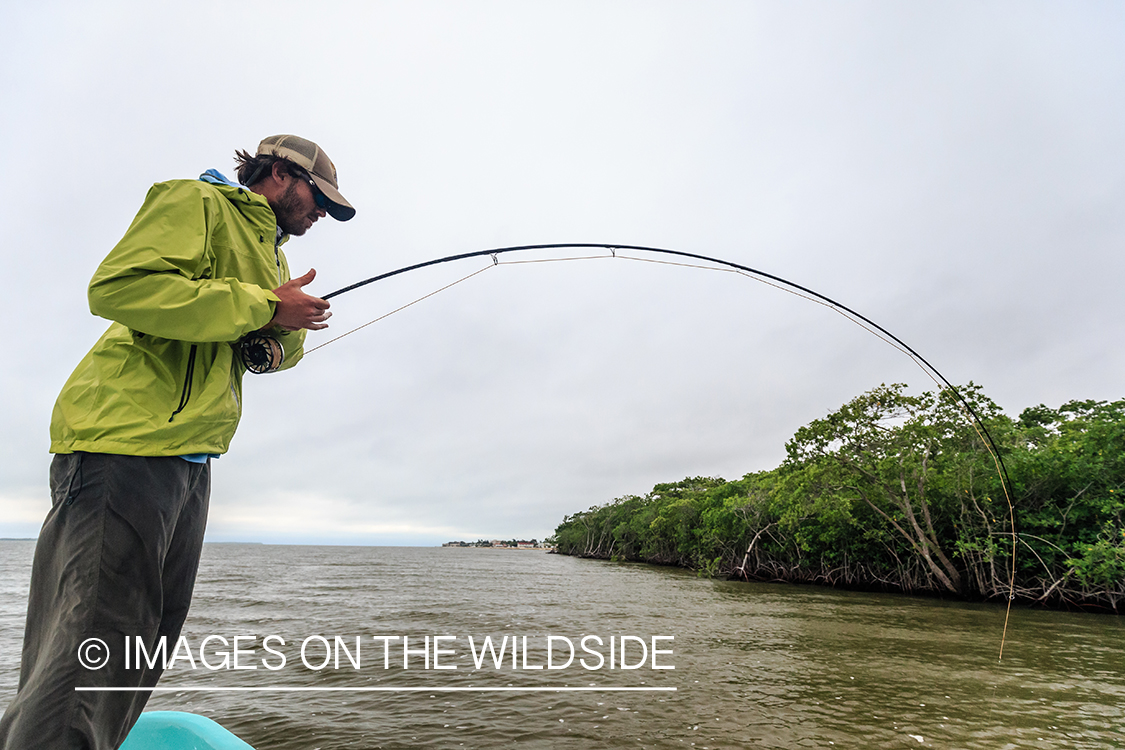 Flyfisherman fighting fish in Belize.