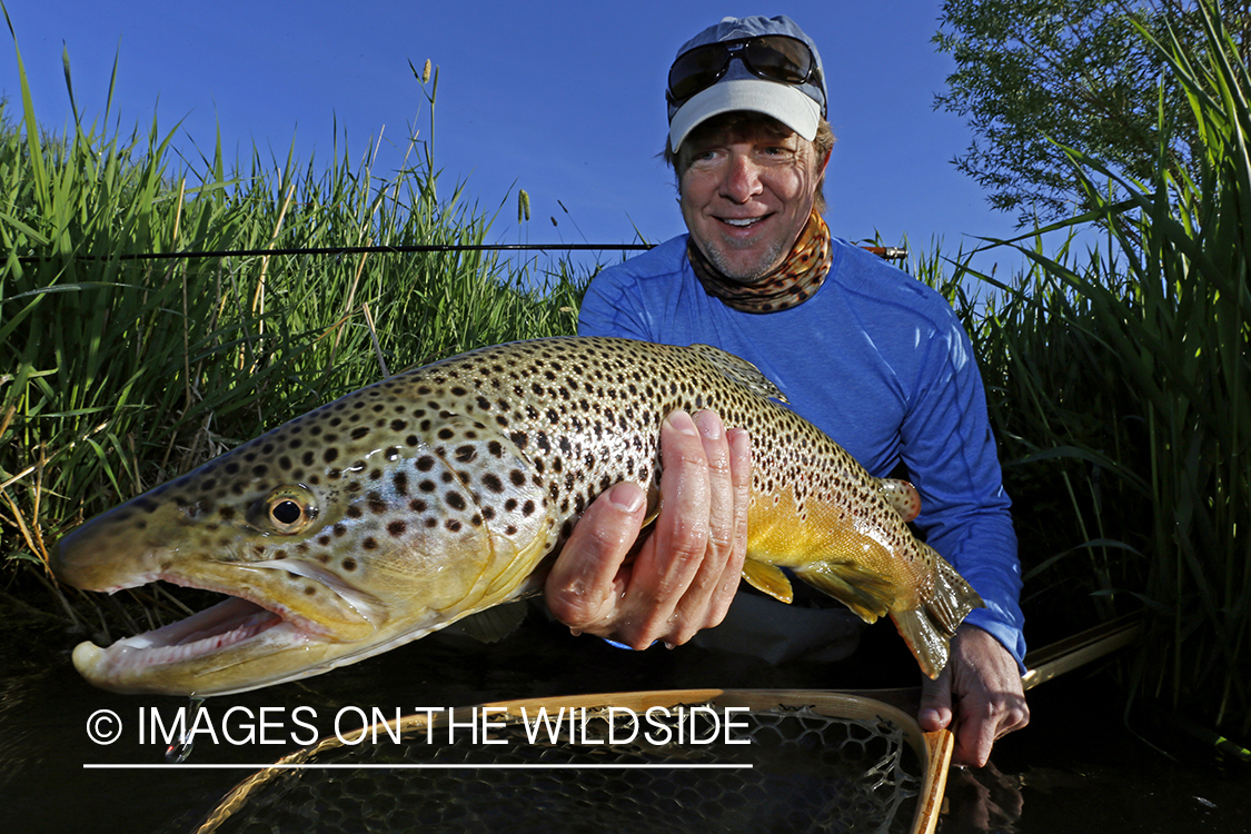 Flyfisherman with brown trout.