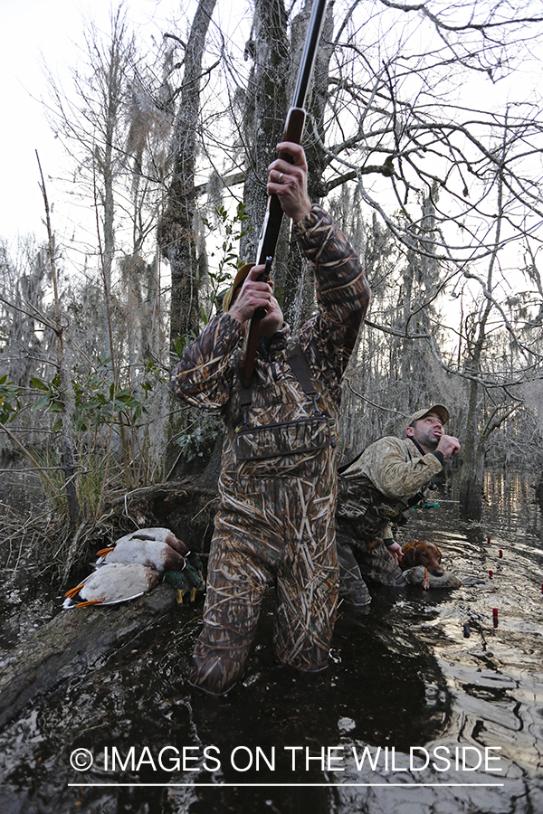 Waterfowl hunters taking aim in southern wetlands.