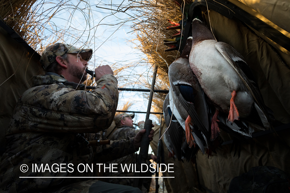 Waterfowl hunting