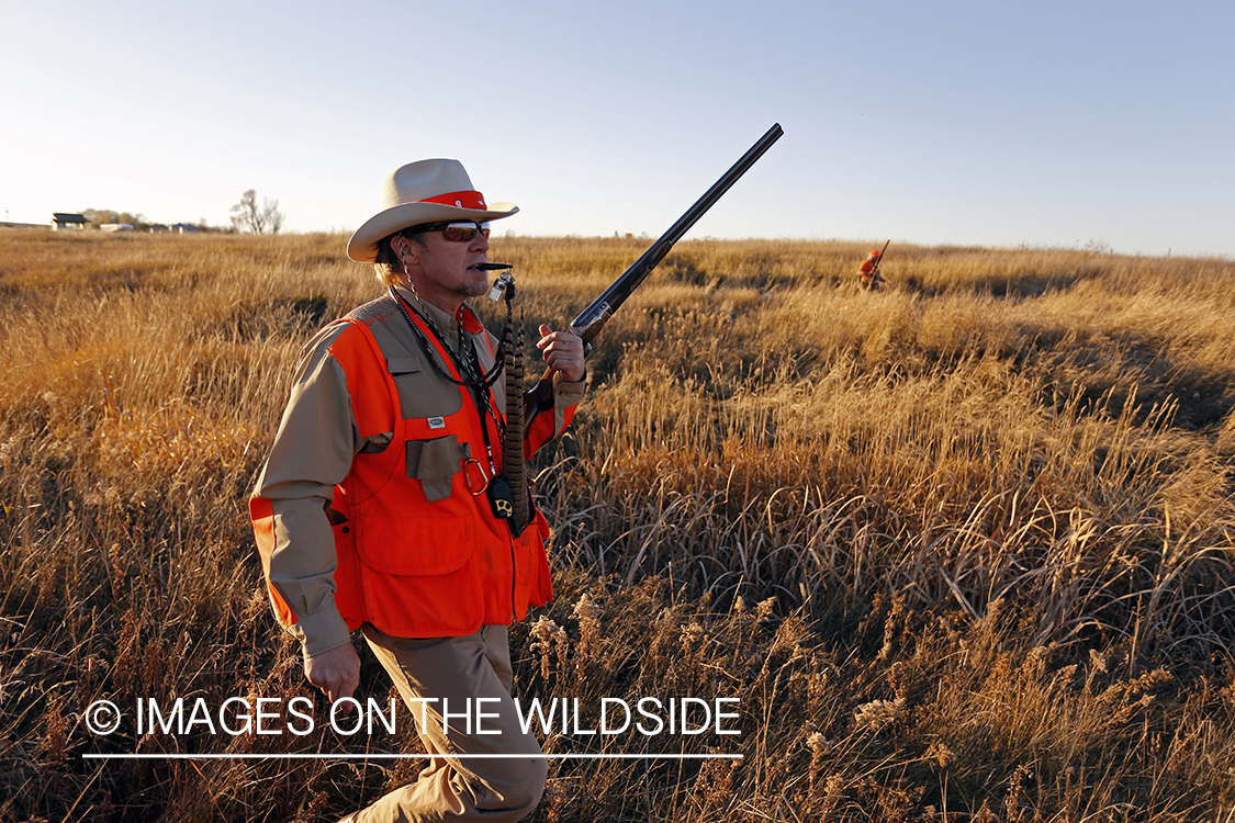 Upland game bird hunter in field.