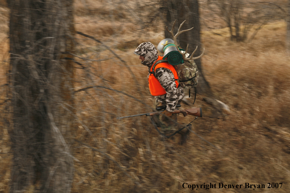 Mule deer hunter in field.