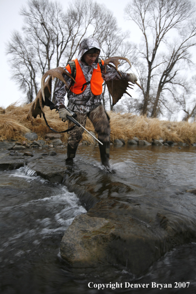 Moose hunter in field