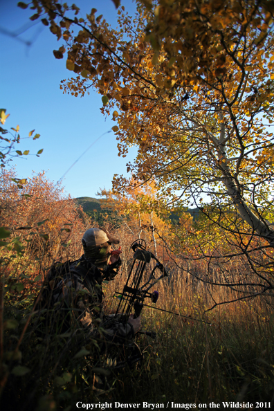 Bow hunter calling elk. 