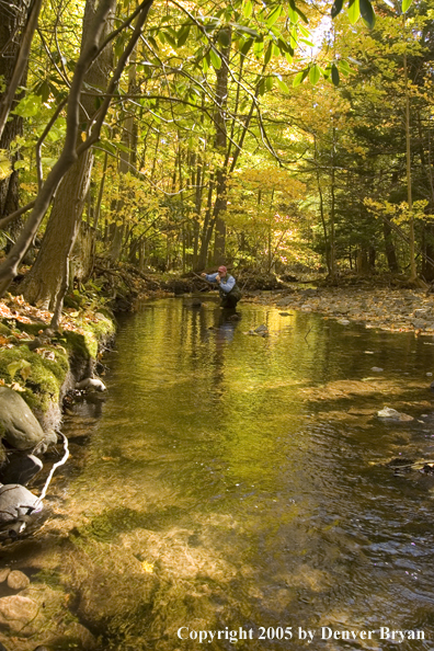 Flyfisherman on Pennsylvania spring creek.