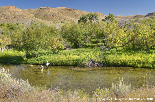 Piney Creek, Wyoming.