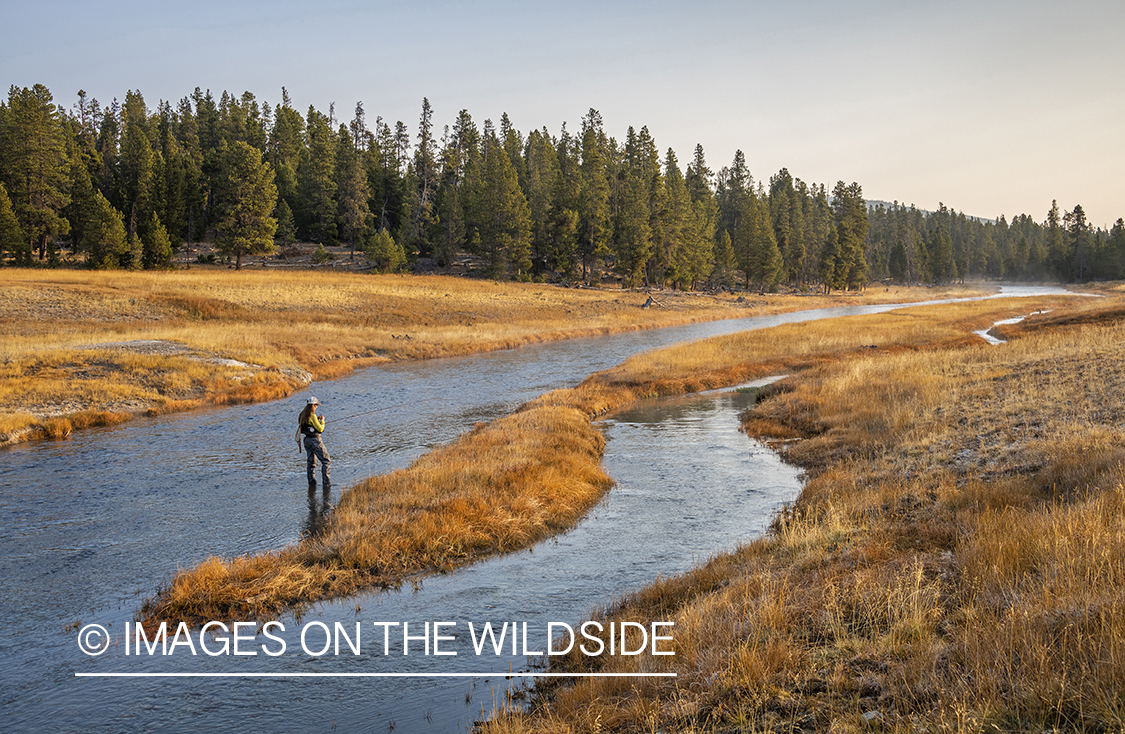 Flyfishing, Nez Perce Creek, Yellowstone National Park.