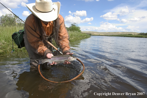 Flyfisherman with rainbow trout.