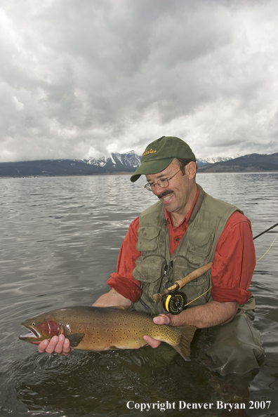 Flyfisherman with large cutthroat trout.