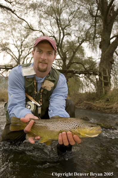 Close-up of nice brown trout.