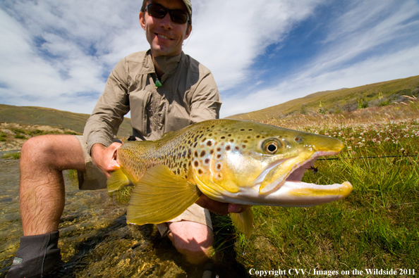 Flyfisherman with Brown trout. 