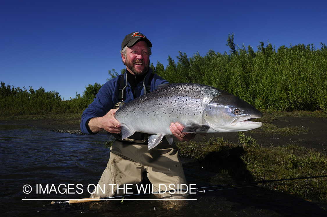 Flyfisherman with sea-run brown trout.