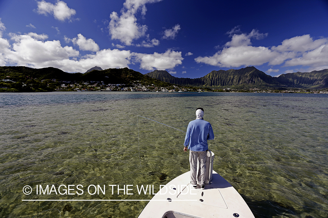 Saltwater flyfisherman fishing on flats boat, in Hawaii. 