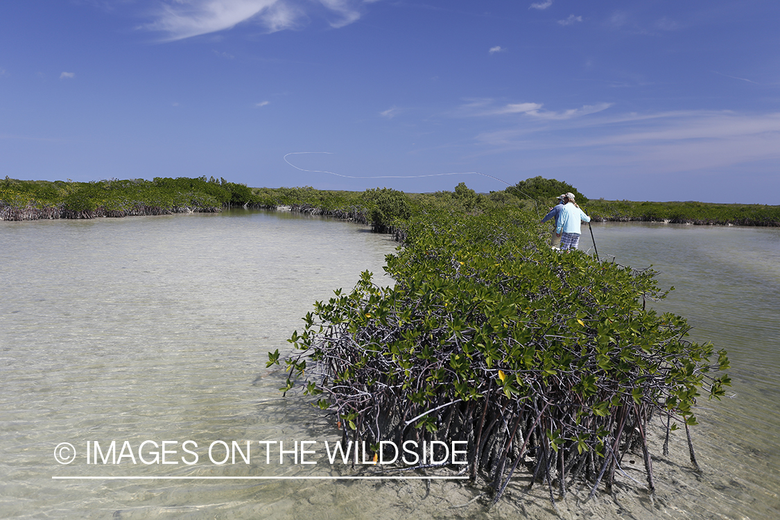 Saltwater flyfishermen on stand up paddle boards.