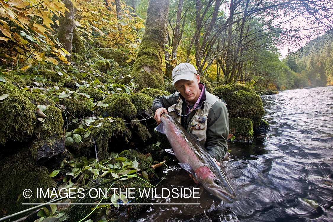 Flyfisherman with steelhead catch.