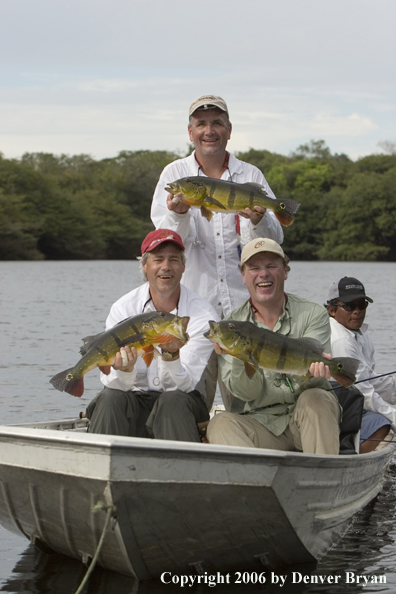 Fishermen holding Peacock Bass