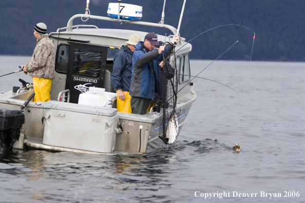 Fisherman netting a salmon.  