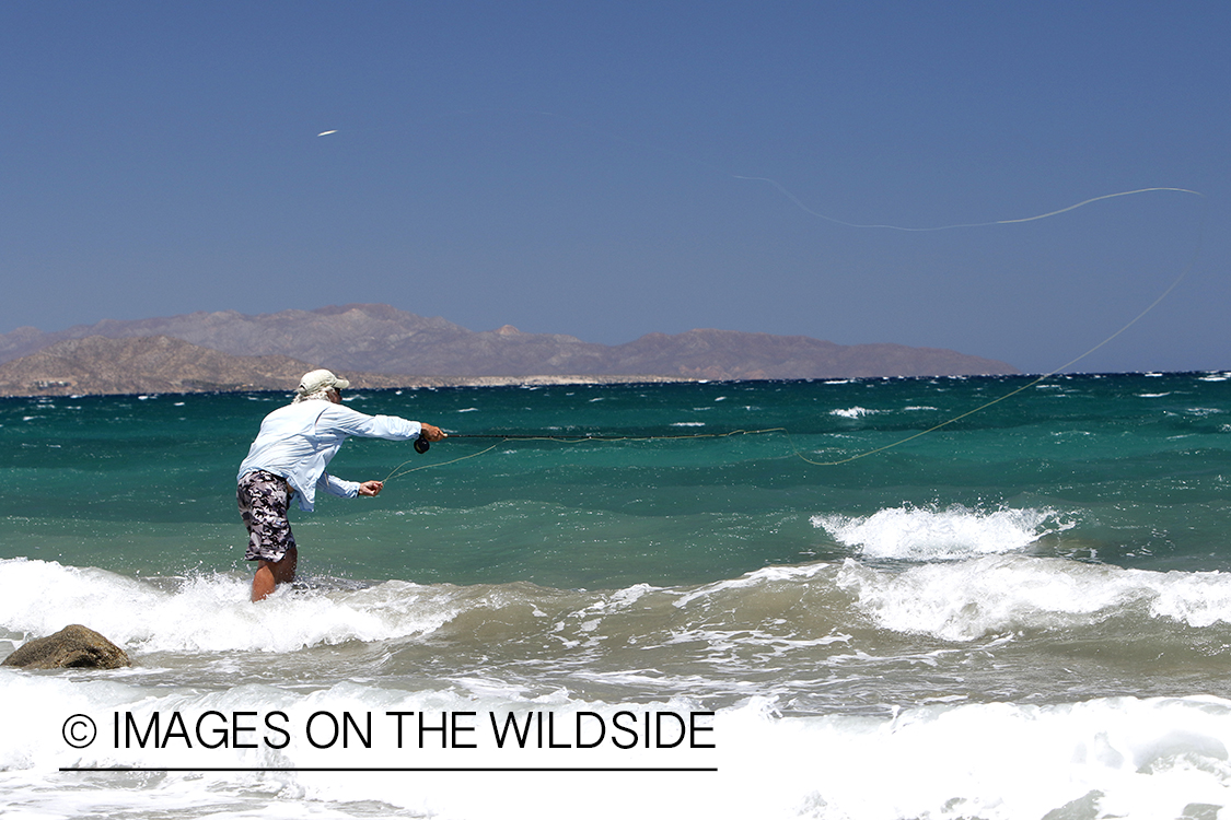 Flyfisherman fishing for roosterfish on beach.