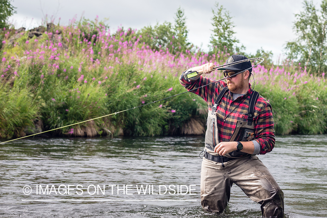 Flyfisherman fighting fish on the Sedanka river in Kamchatka Peninsula, Russia. 