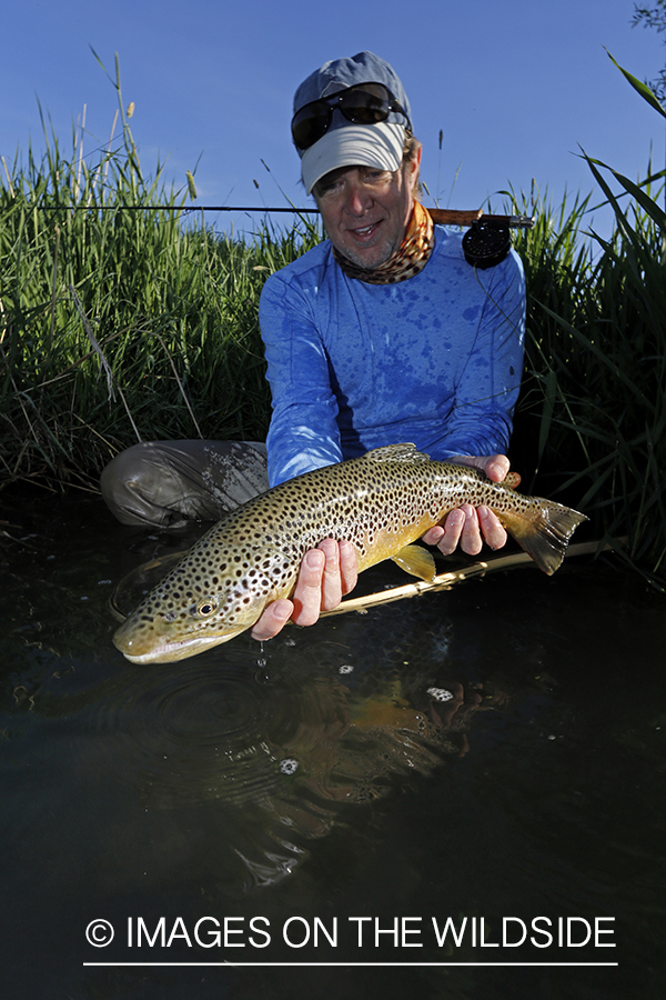 Flyfisherman with brown trout.