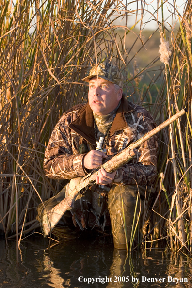 Duck hunter looking for ducks from edge of marsh.