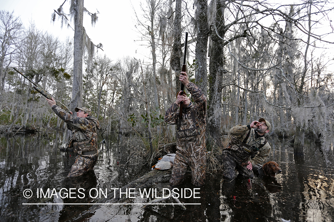 Waterfowl hunters taking aim in southern wetlands.