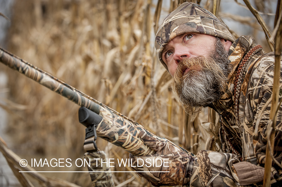 Waterfowl hunter camouflaged in wetlands.