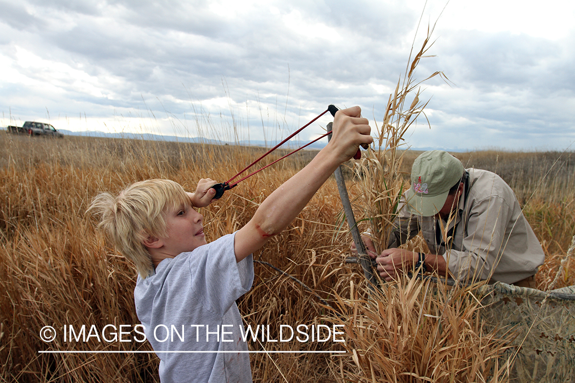 Father and son waterfowl hunters building blind.